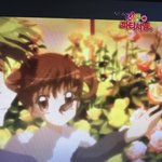 [<b>꿈</b><b>파</b>] ?? 감딸기 뭔데 왜