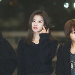 짤하나 <b>사나</b>