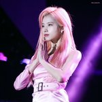 짤하나 핑크 <b>사나</b>