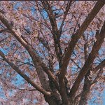 [NCT] <b>천지</b> 이날 사진 있는 사람!!!