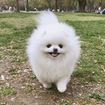 [댓글부탁해] <b>니</b>네 일어나지도 않은일 <b>걱정</b>하냐?