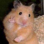 얘들아 mbti는 진짜 그냥 재미인 이유가