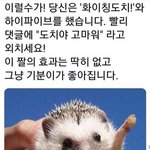[이것좀봐줘] 나 이 언니 좋아하는걸까..