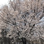 [10대의성] 남친 전여친이 <b>백인</b>이었다면