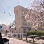 [드루와] 벙커침대 <b>사지</b> 마라...