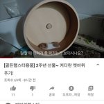 [<b>이색</b>동물] 햄스터 이 쳇바퀴 써본 사람 있나요?