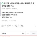 애들아 들어와줘 <b>동물</b>의숲 불매해야함