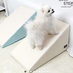 강아지 <b>계단</b> 뭐가 더 좋아?