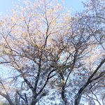 [39부산남] 나도 꽃사진