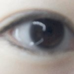 고양이<b>상임</b> 강아지<b>상임</b>