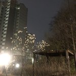 오늘 내 <b>갬성</b> 어때