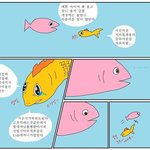 [드루와] 난 뭔가 핱시같은 프로그램 못보겠음