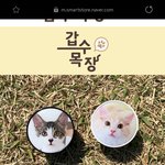 얘<b>두라</b> 그립톡 ㅇㄸ??