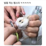 엄마랑 보게 댓글 좀 달아줘..내가 이상한거야?
