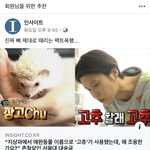 [댓글부탁해] 고<b>츄</b> 이거 어떻게생각행