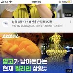 <b>이</b> 망고 나 주면 진짜 <b>잘</b> 먹을 수 있는데