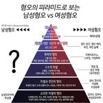 [댓글부탁해] 왜이렇게 트위터 페미니스트들 싫어해?