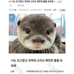 [드루와] 나초딩때 ㅈㄴ 재밌는<b>어플</b> 잇엇음