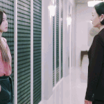 해외 팬들이 투표한 2019 베스트 한국 드라마 20