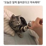 [드루와] 방학하고 생긴<b>습관</b>