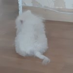 <b>세컷만화</b>