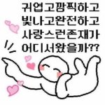 <b>퍼</b><b>컬</b> 궁예해조