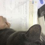 [ㅈㄱㄴ] <b>바닥</b>에서 공부하면 안댐
