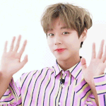 내 역대 최애 공통점 알려줄 사람??