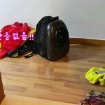 [강아지] <b>심장폭행</b> 주의 !! 귀여운 강아지와 심리전 했습니다....