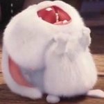 원래 내 <b>머리색</b>이 안어울릴수 있어 ??