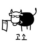 근데 <b>캠</b>키고 사이버강의하면 화장해야돼??