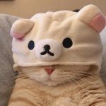 [댓글부탁해] 나 예비고1인데