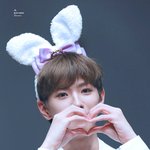 내가 본 아이<b>돌중</b> 쩰 귀요움