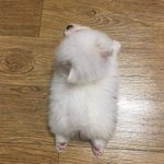 [드루와] 나만 <b>실수</b>하면 이러냐