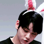 우리 집 고양이가 내 <b>에어</b>팟