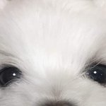 <b>강</b>아<b>쥐</b> ㅎㅎㅎㅎㅎ
