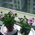 집에 있으니까 <b>별짓</b>을 다함ㅋㅋ