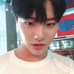 <b>애견</b>카페에 동물안데리고가도돼???
