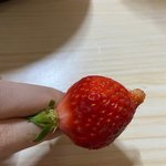 딸기 먹는중인데