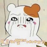 진짜 솔직히 남자꼬<b>츄</b> 보고싶었던적