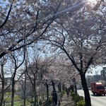 [드루와] 고3인데 고등학교 2년 <b>생활동안</b> 느낀거