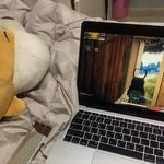너네 맥북이랑 아이패드 중 뭐사고싶음?