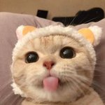 [19] <b>빛삭</b>