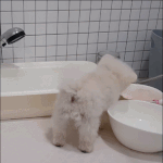 [MBTI] mbti별 절교할 때의 반응