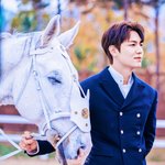 [댓글부탁해] <b>intp</b>이랑 infp 비슷함?