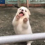 [댓글부탁해] ㅋㅋㅋㅋ <b>이비에스</b> 온라인 클래스