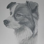울 애긔 <b>완성</b>했음