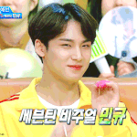 [세븐틴] <b>비쥬얼</b> 말티쥬