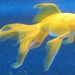 [NCT] 햇쨔니 모음