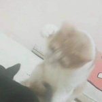 [댓글부탁해] <b>여소</b>를 받았는데 여성분이 마음에 들지않아요..